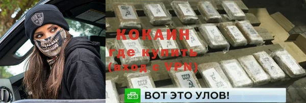 крисы Абаза