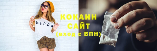 крисы Абаза